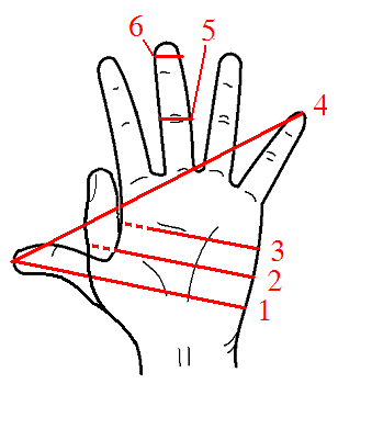 Hand_Units_of_Measurement